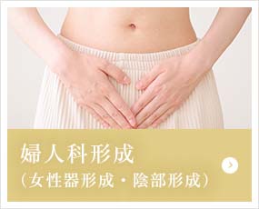 婦人科形成（女性器形成・陰部形成）