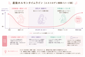 産後のエストロゲン推移イメージ図
