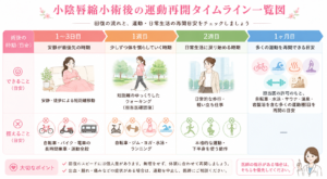 小陰唇縮小術後の運動再開タイムライン一覧図